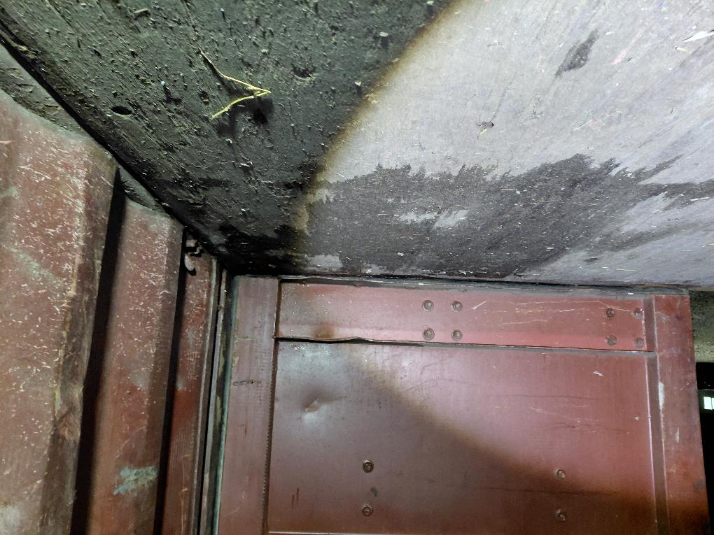 Морской контейнер GLDU5100596