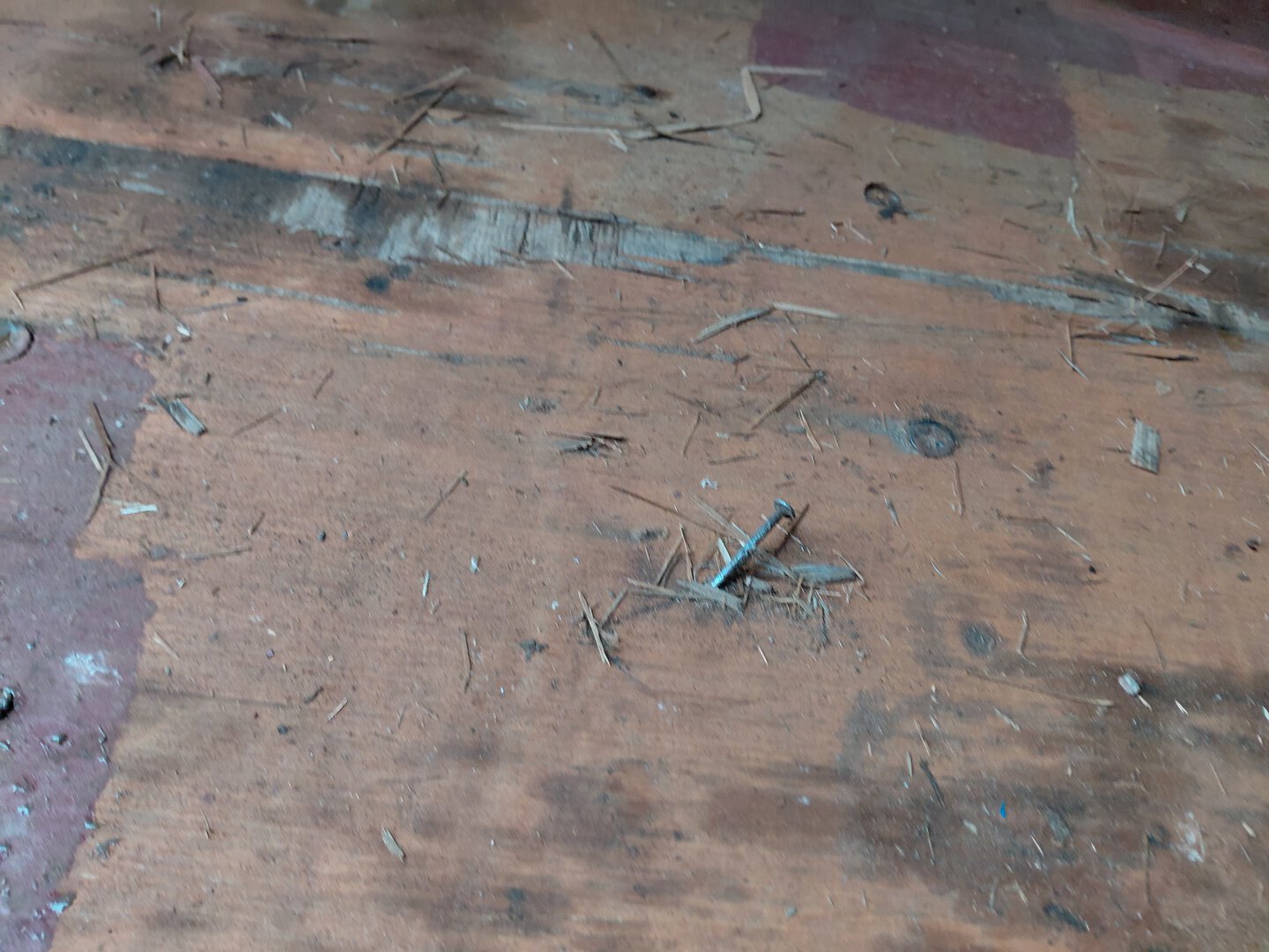 Морской контейнер GLDU5370694