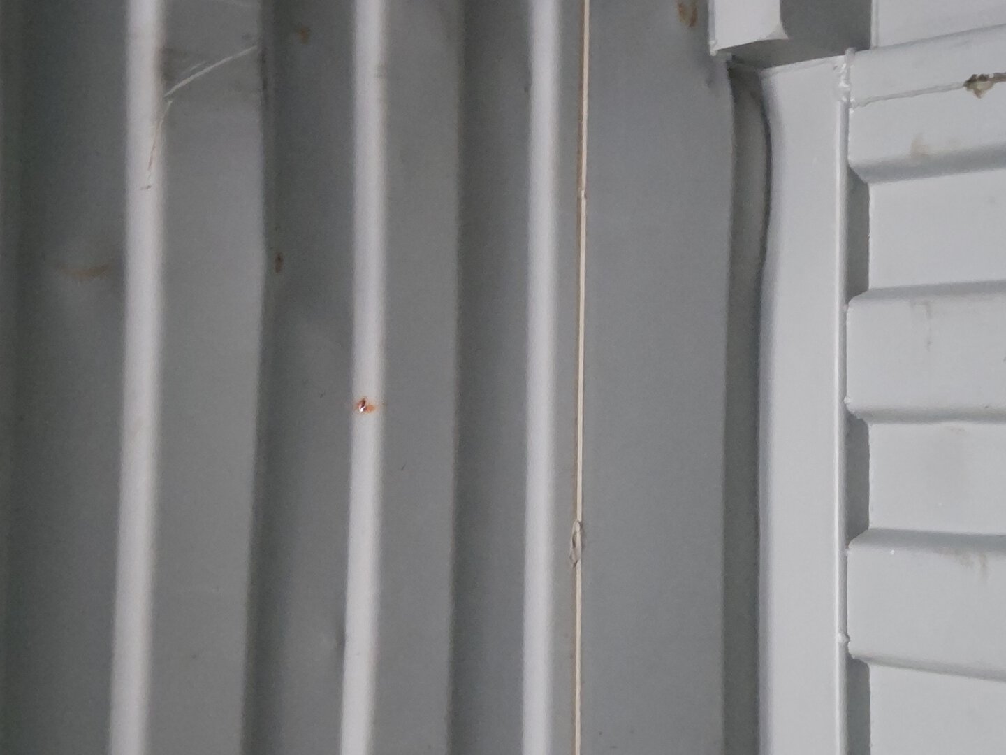 Морской контейнер HDMU6834173