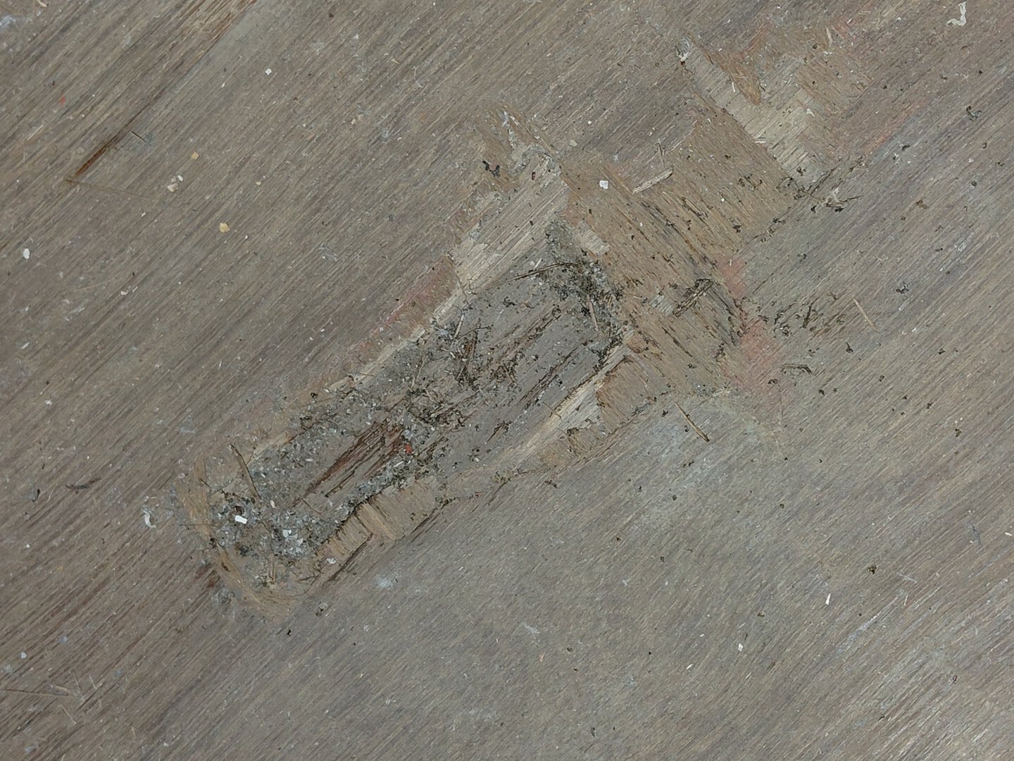 Морской контейнер HDMU6834173