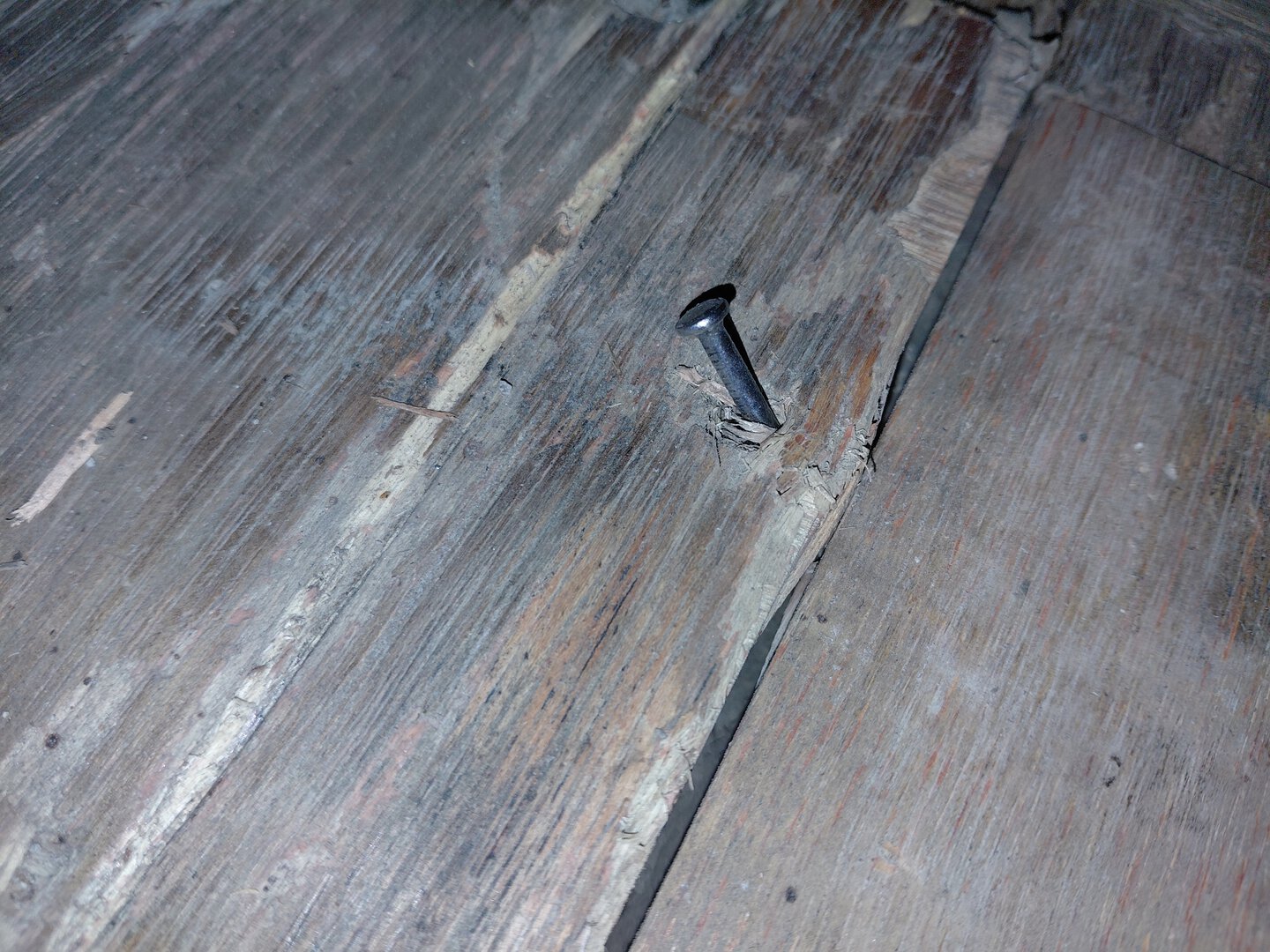 Морской контейнер HDMU6834173