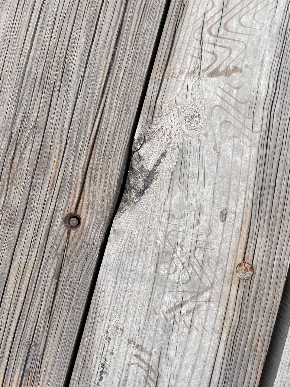 Морской контейнер HDMU7600821