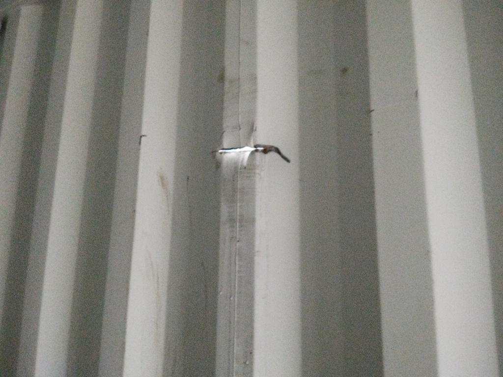 Морской контейнер HHXU3367292