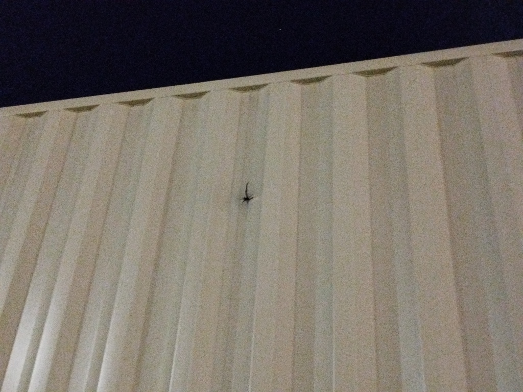 Морской контейнер HHXU3367311