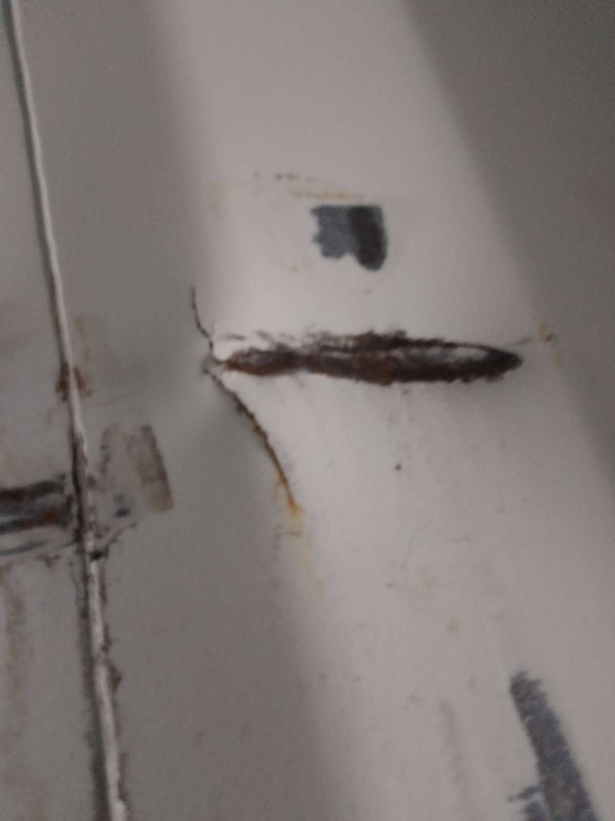 Морской контейнер HPCU2810177