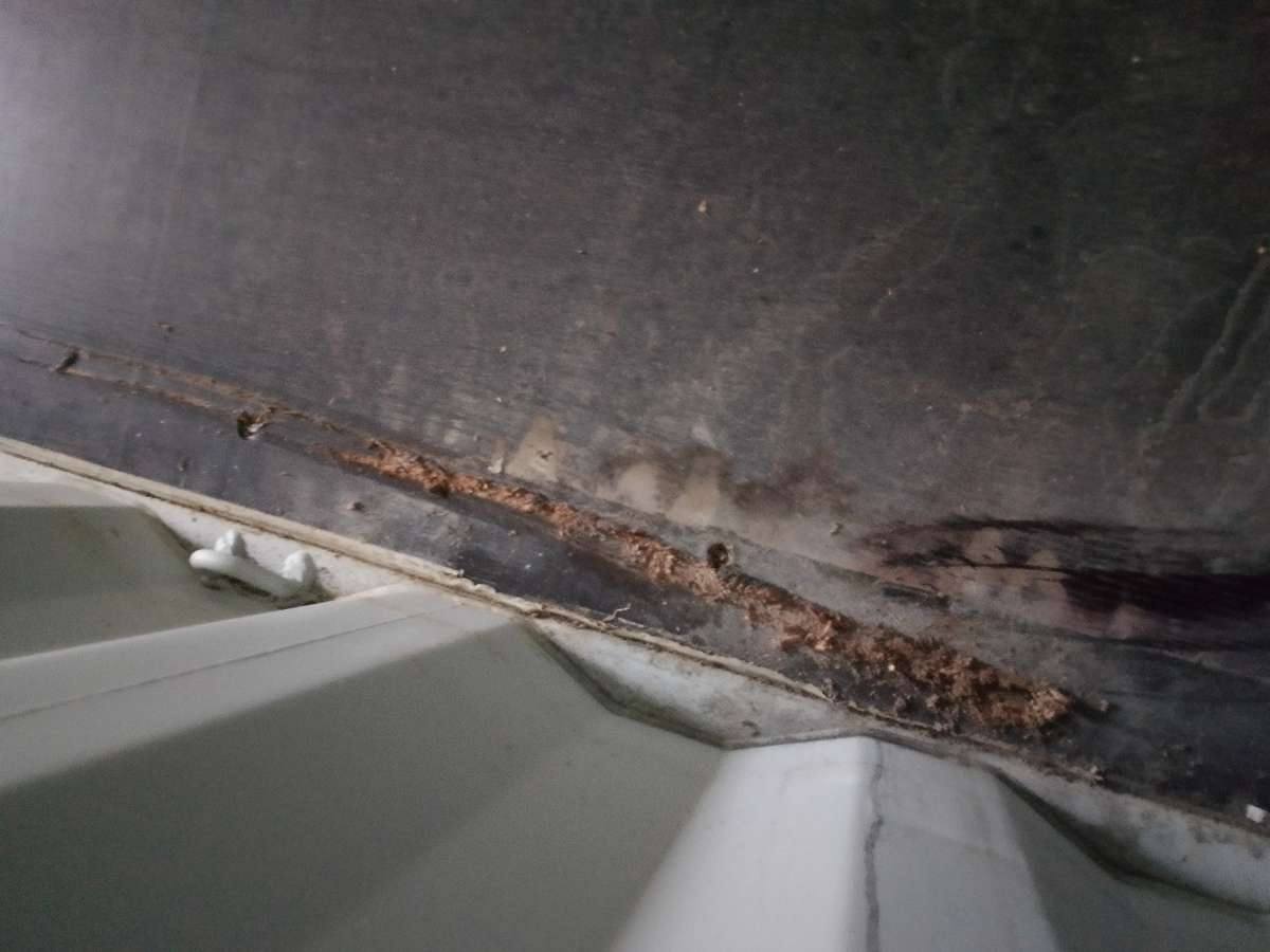 Морской контейнер HPCU2810177