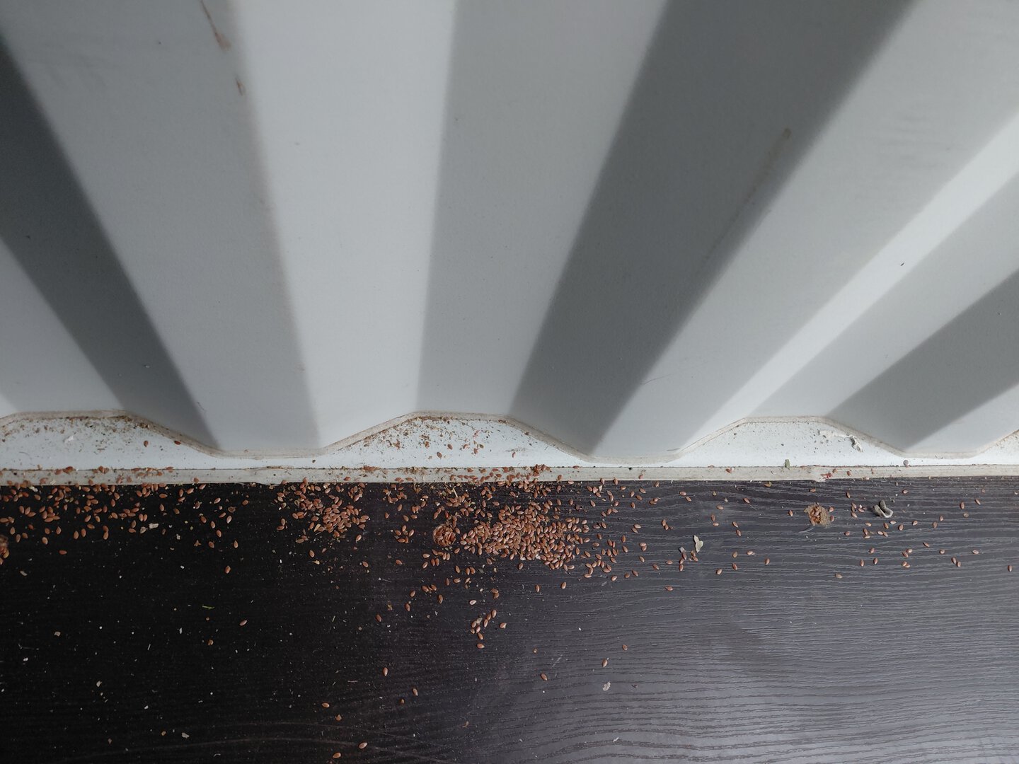 Морской контейнер HPCU4979628