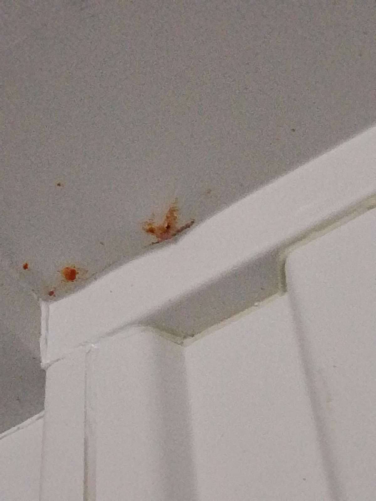 Морской контейнер JDLU0010919