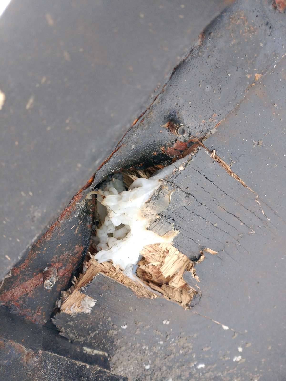 Морской контейнер JDLU2001834