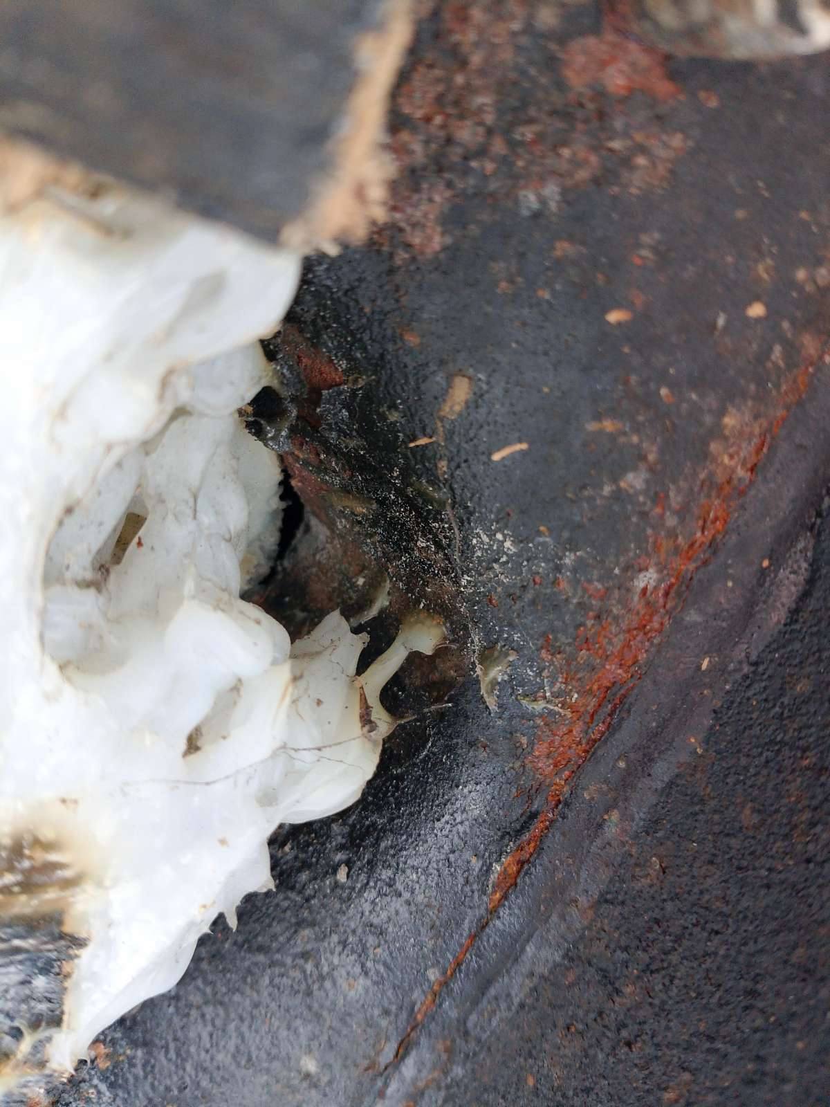 Морской контейнер JDLU2001834