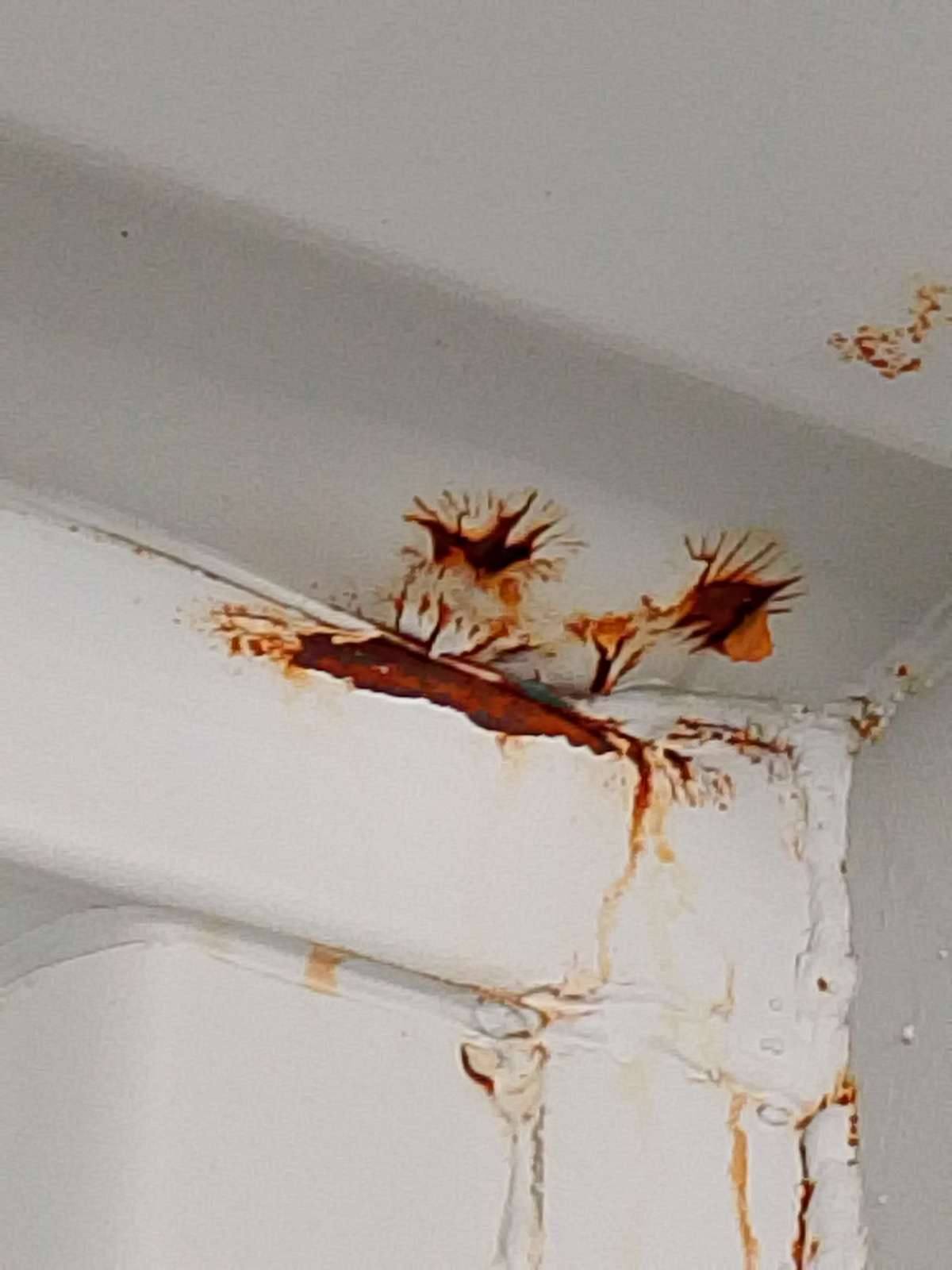 Морской контейнер JDLU2004854