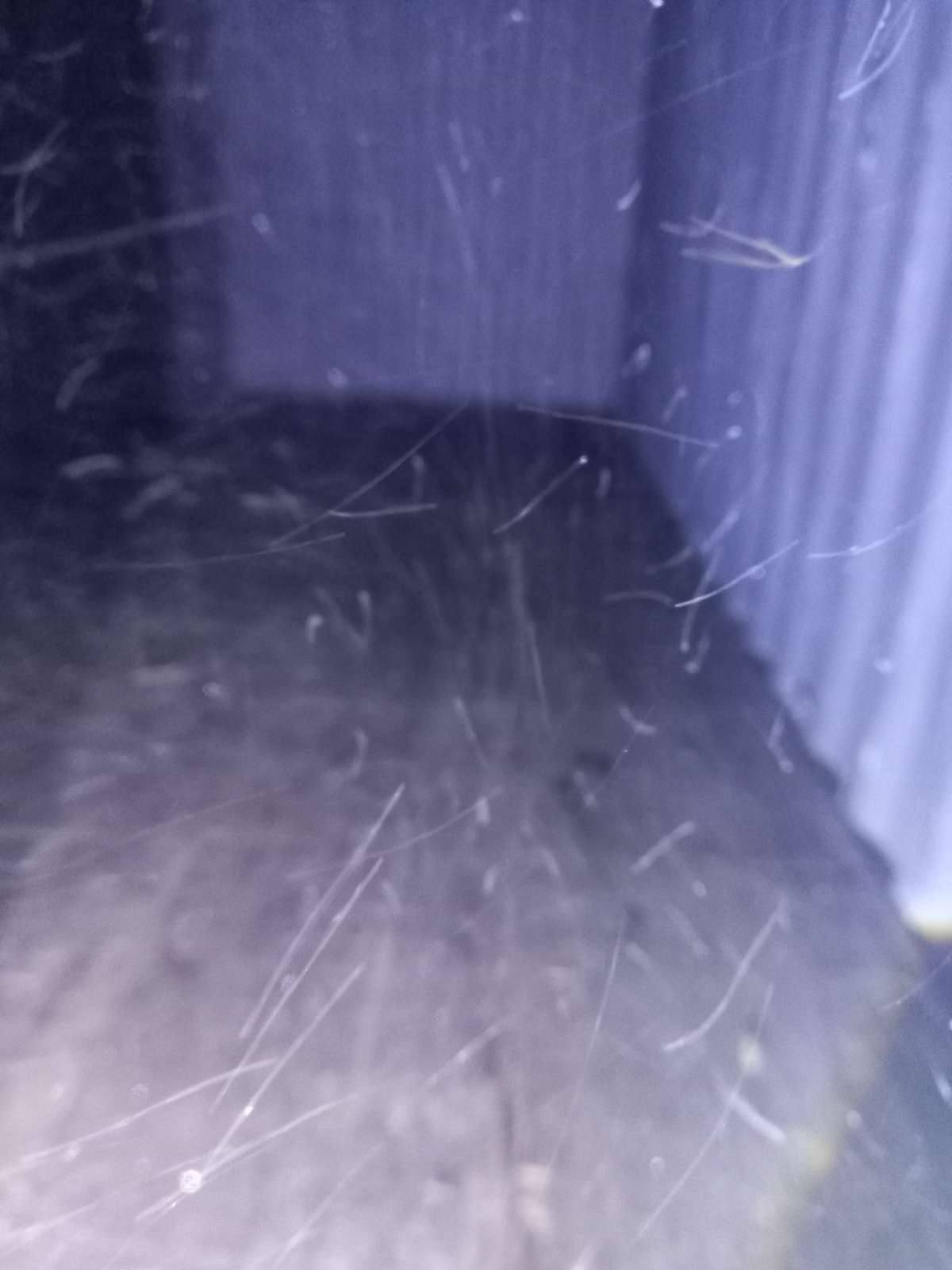 Морской контейнер JZPU2023390