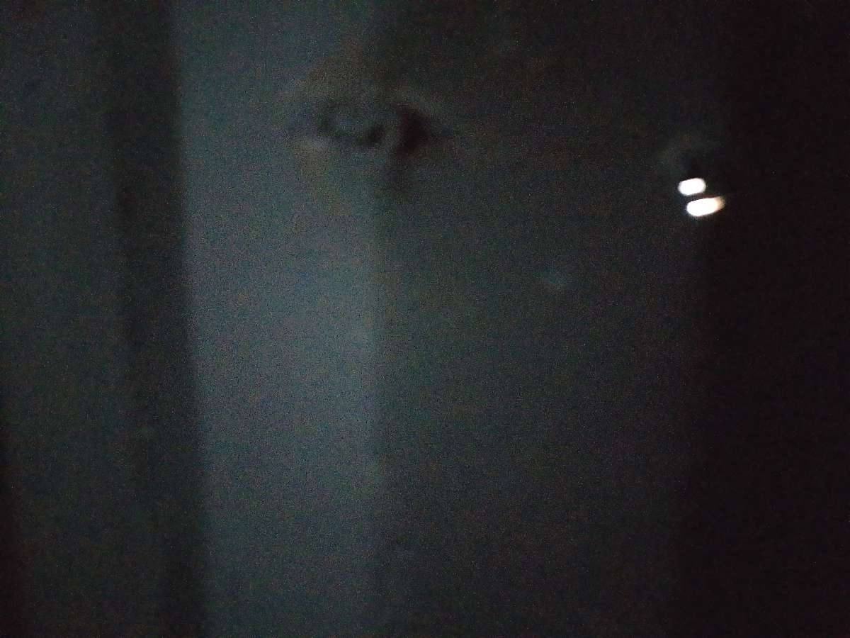 Морской контейнер JZPU2082963