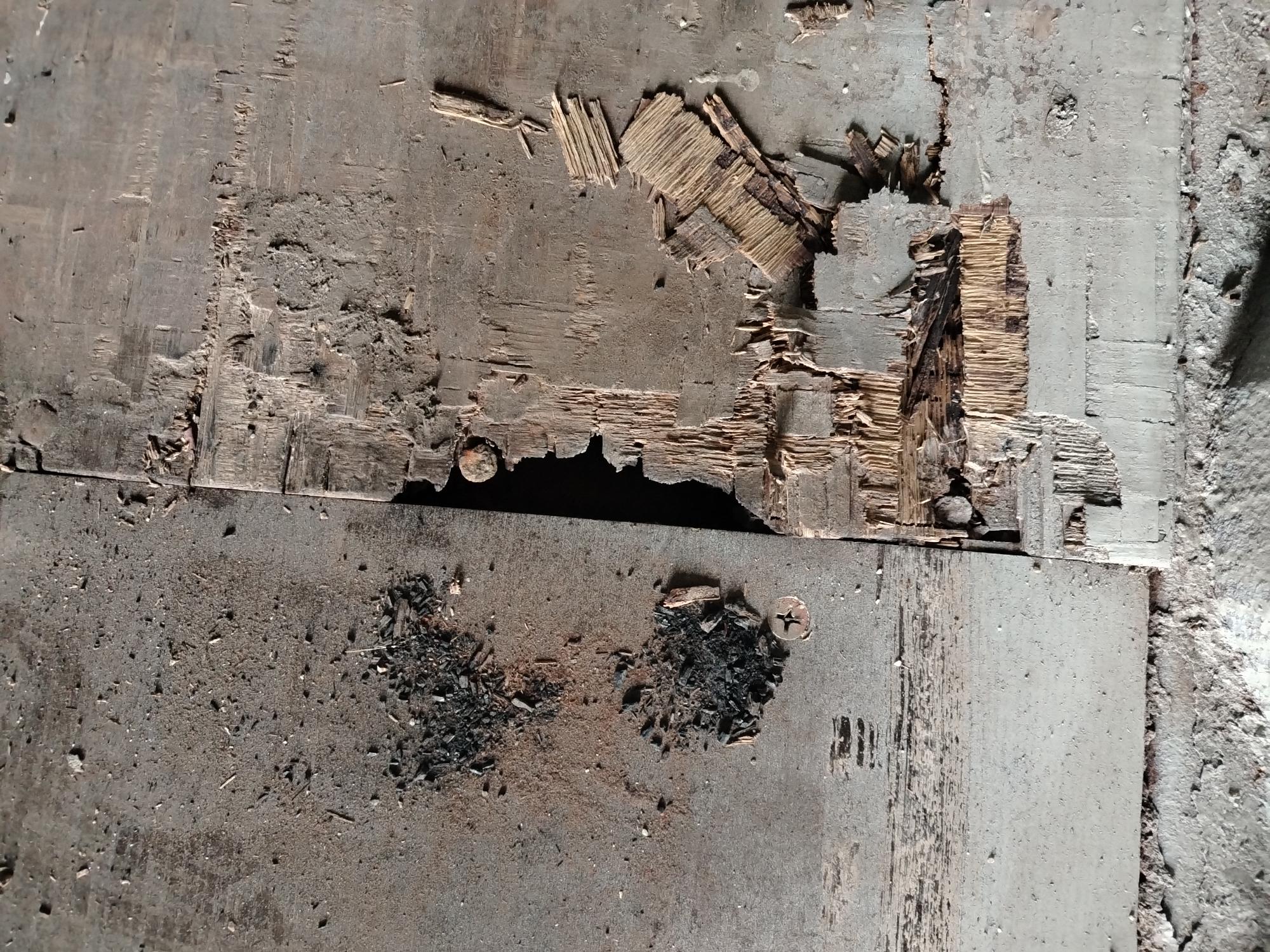 Морской контейнер JZPU2098770