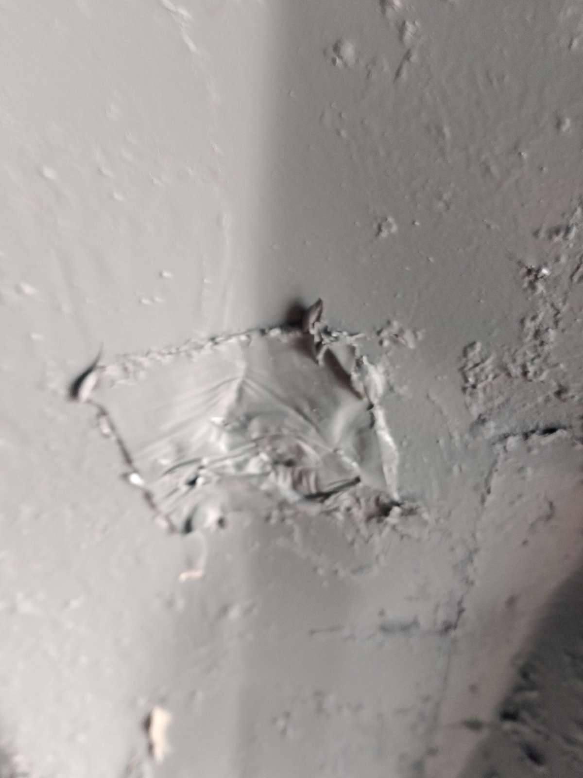 Морской контейнер JZPU2110005