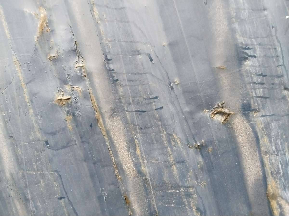 Морской контейнер JZPU2131100