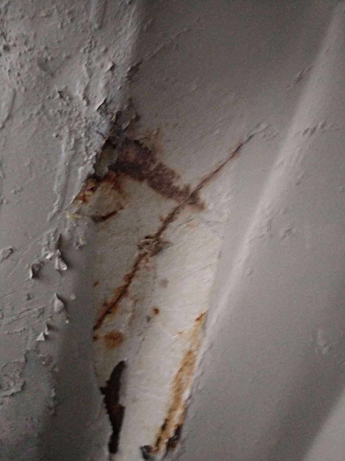 Морской контейнер JZPU2131100