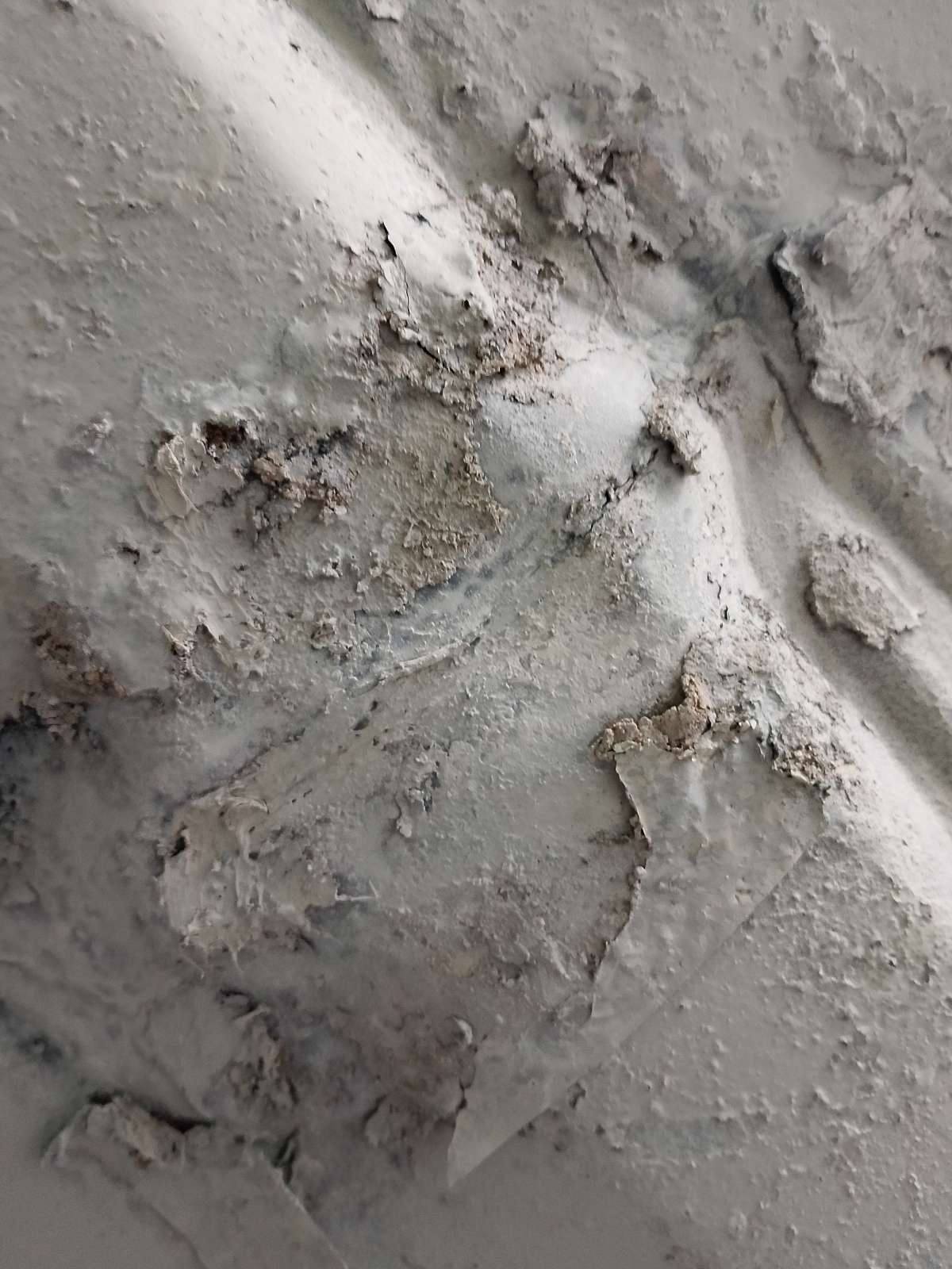 Морской контейнер JZPU2145402