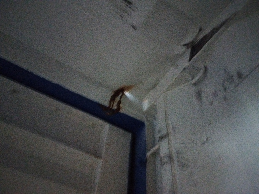 Морской контейнер KSBU0110081