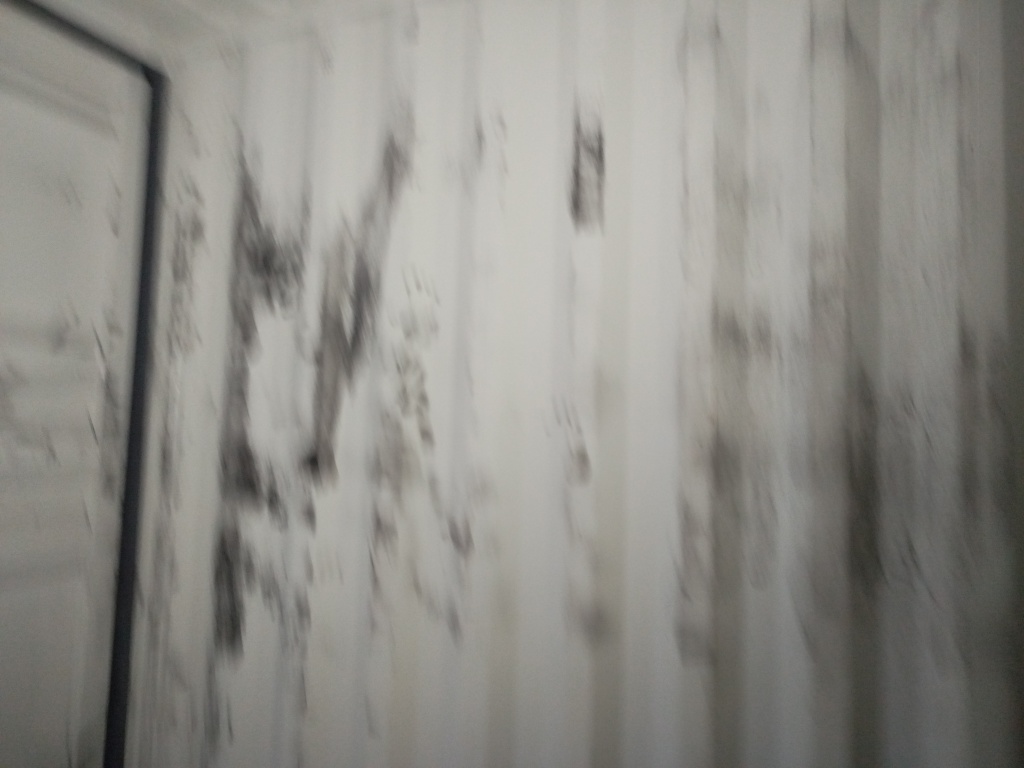 Морской контейнер KSBU0173156