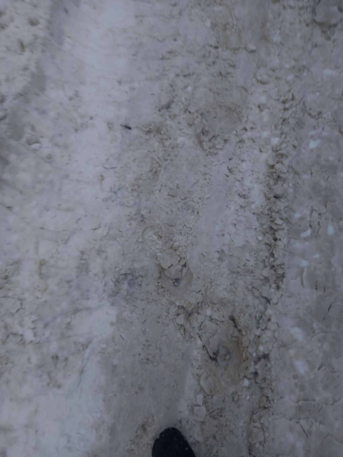 Морской контейнер LYGU1693026