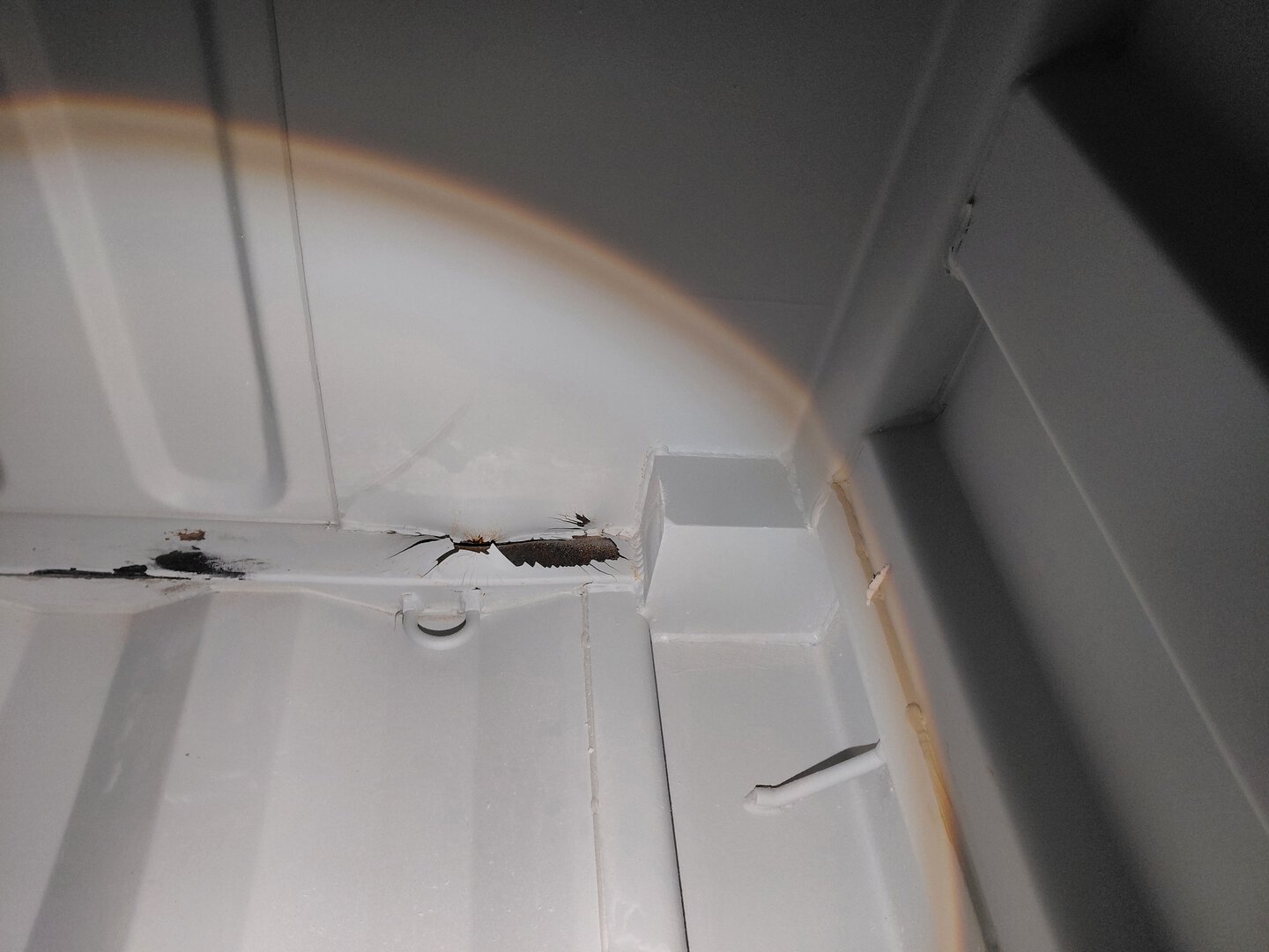 Морской контейнер LYGU1698394