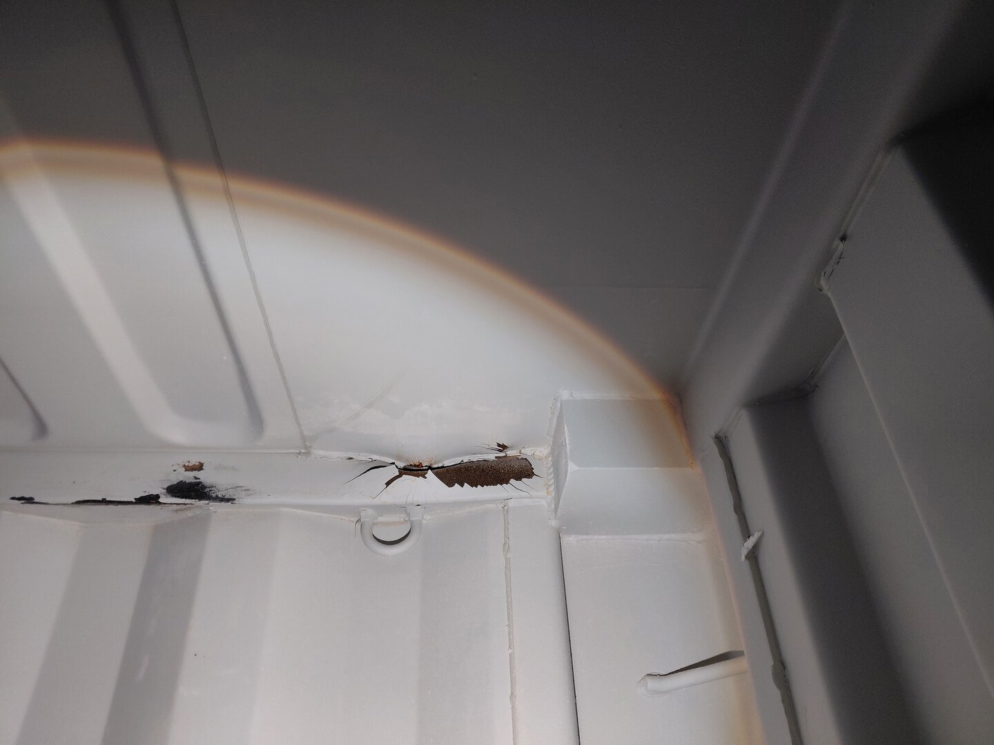 Морской контейнер LYGU1698394