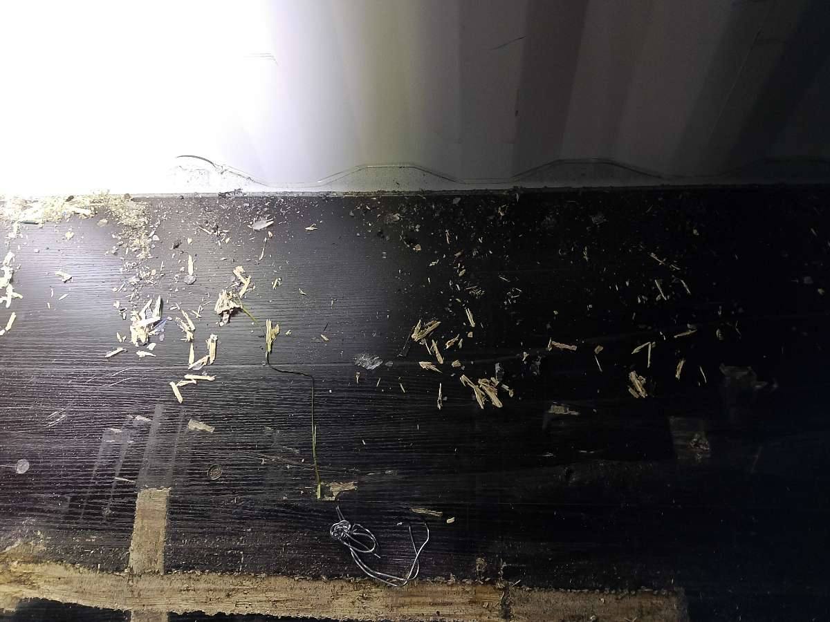 Морской контейнер LYGU1704650