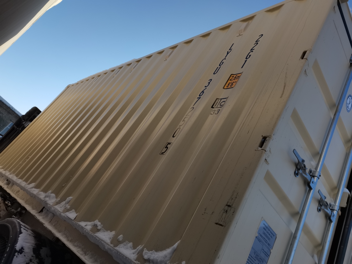 Морской контейнер LYGU3672505