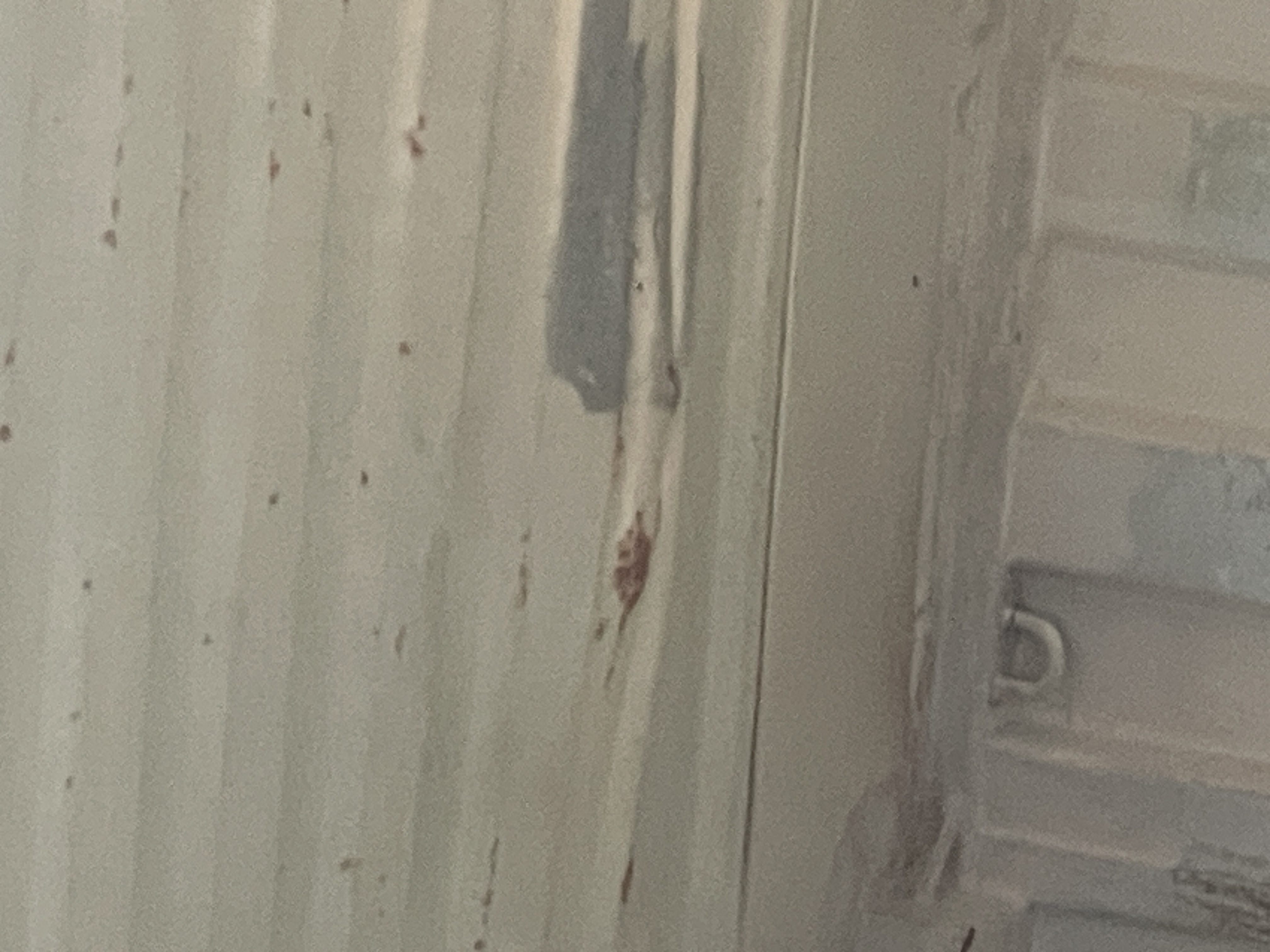 Морской контейнер MAEU6826487