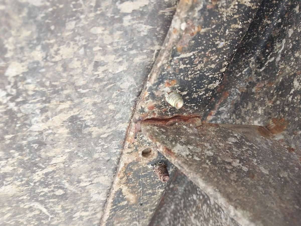 Морской контейнер MAGU2138708