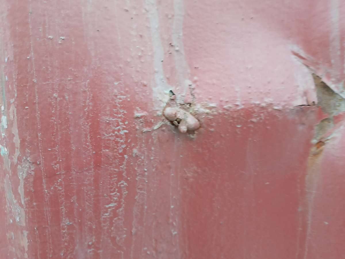 Морской контейнер MAGU2138708