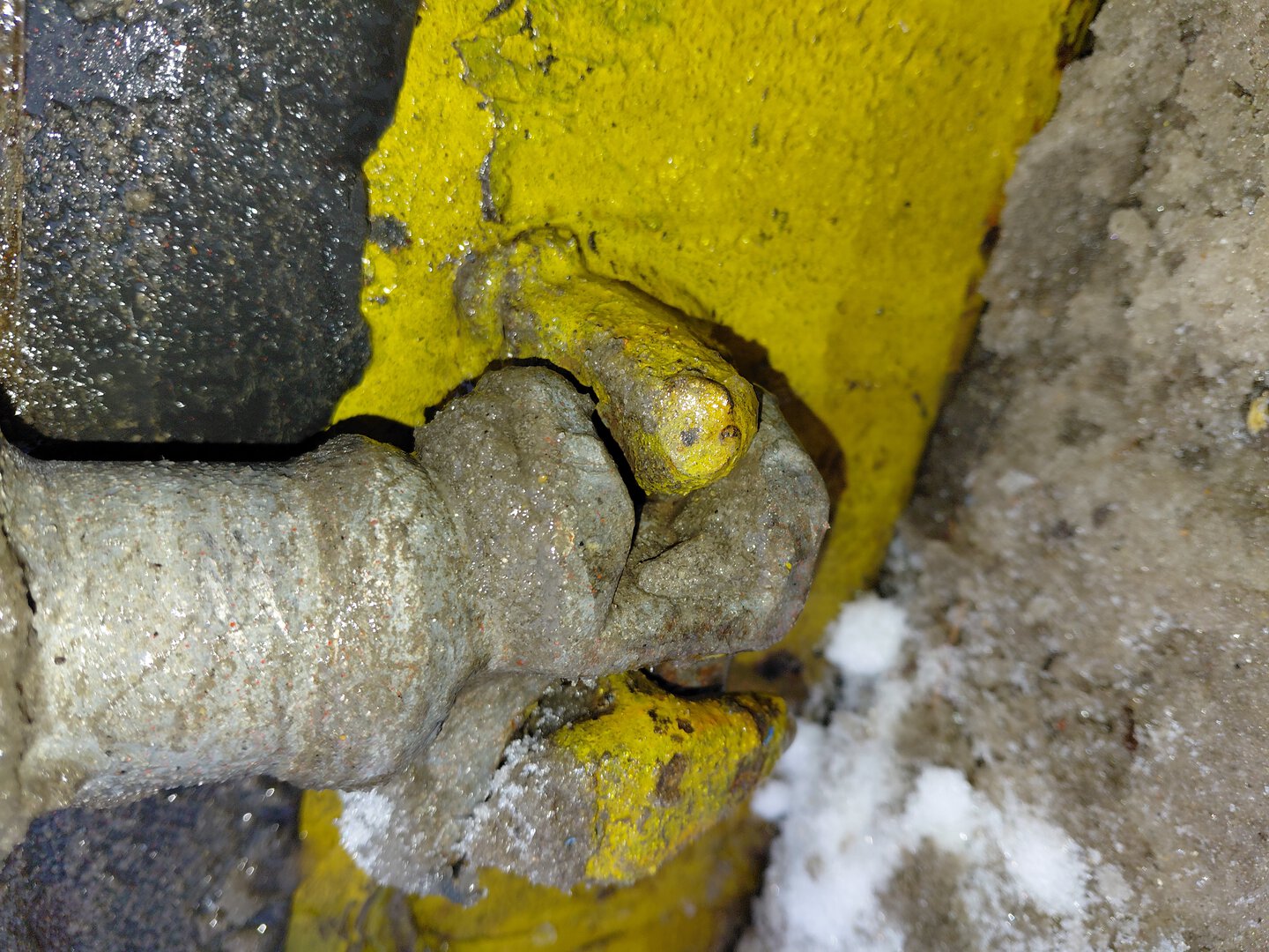 Морской контейнер MEDU1285750