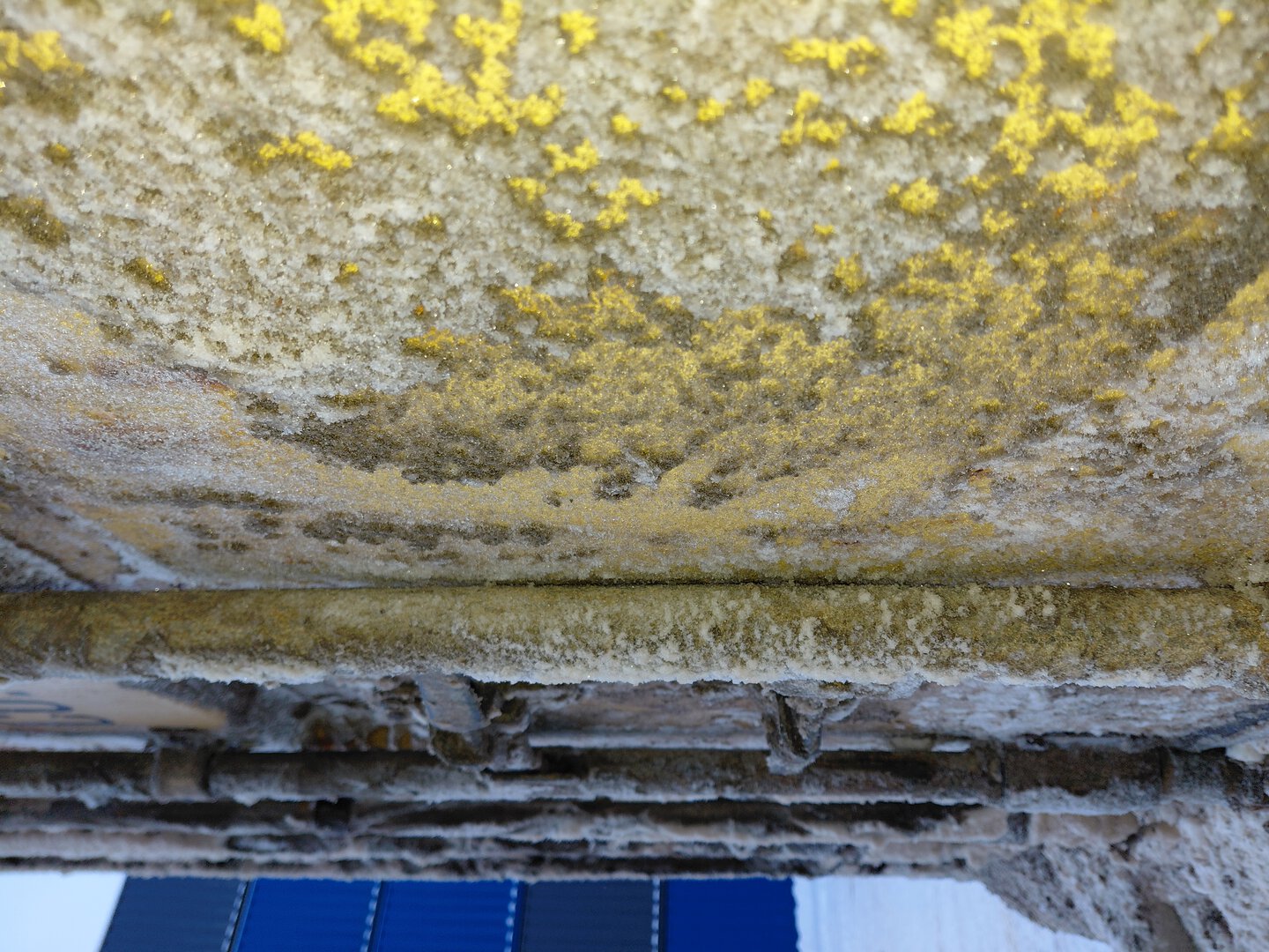 Морской контейнер MEDU1398756