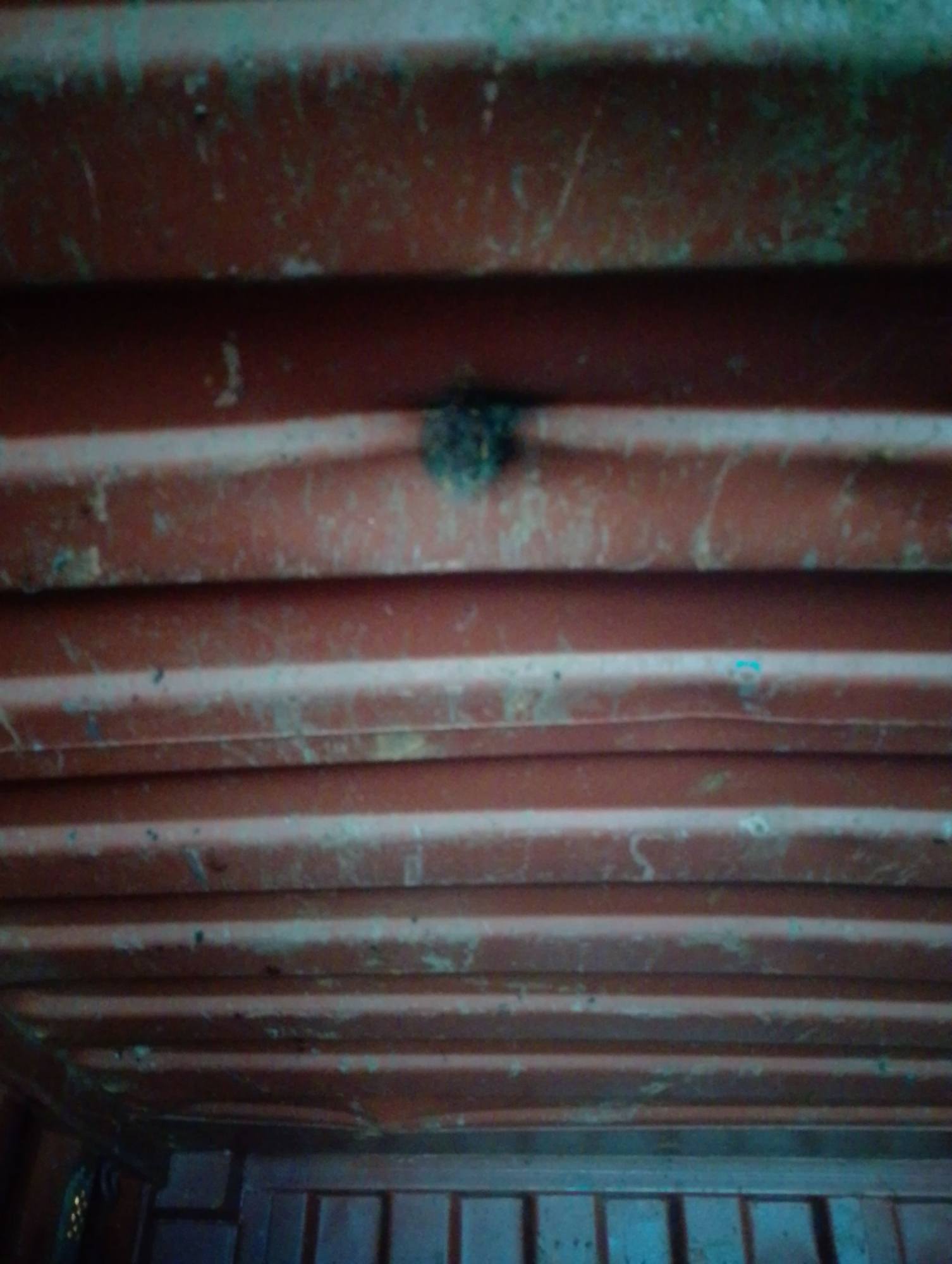 Морской контейнер MEDU1558216