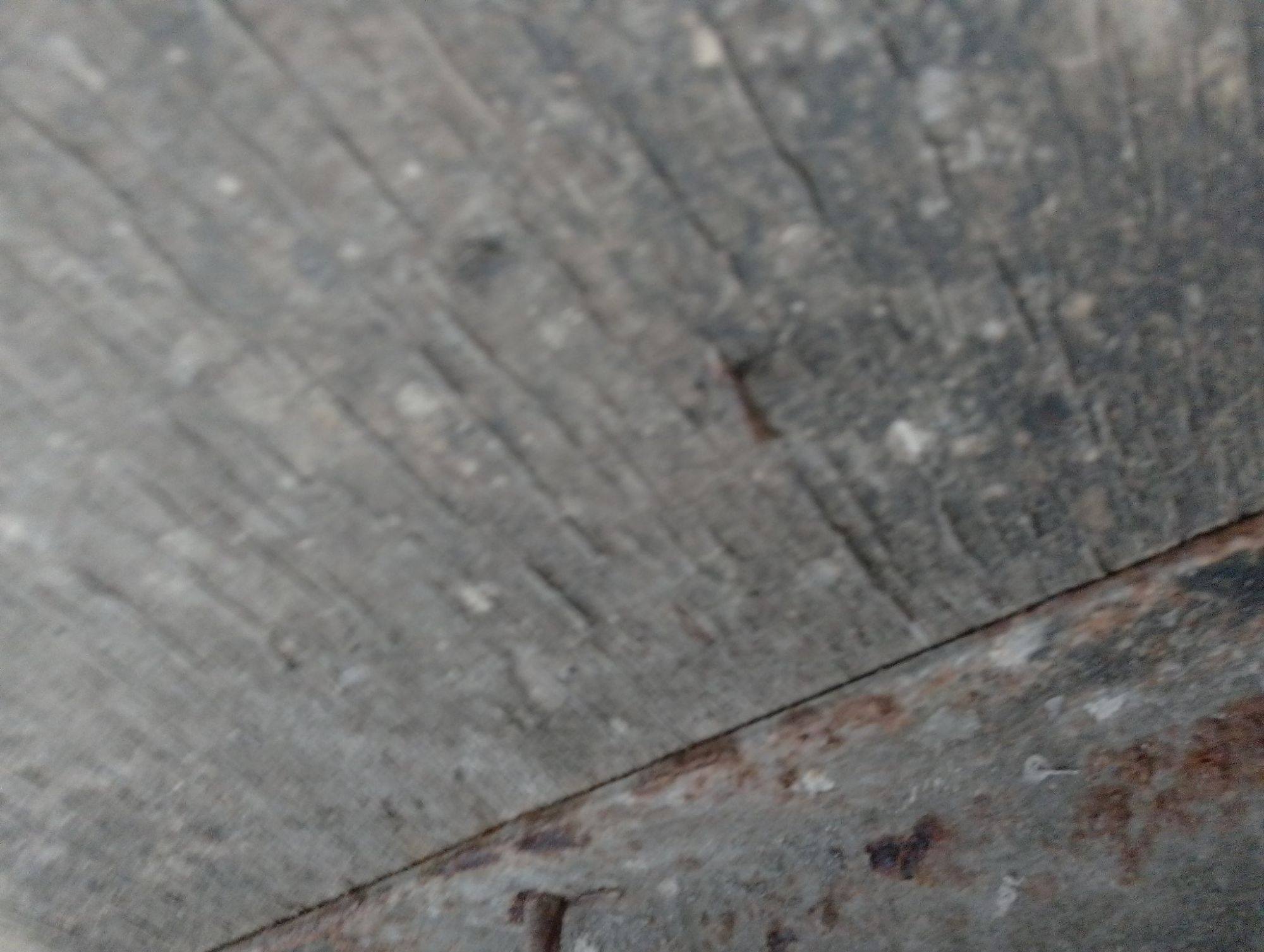 Морской контейнер MEDU1755468