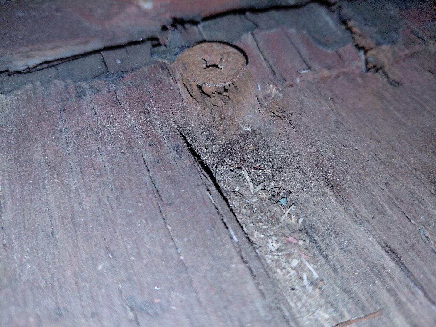 Морской контейнер MEDU1881390