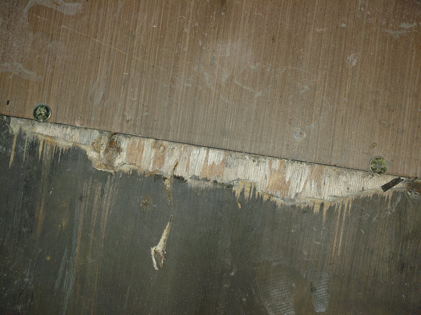 Морской контейнер MEDU1881390