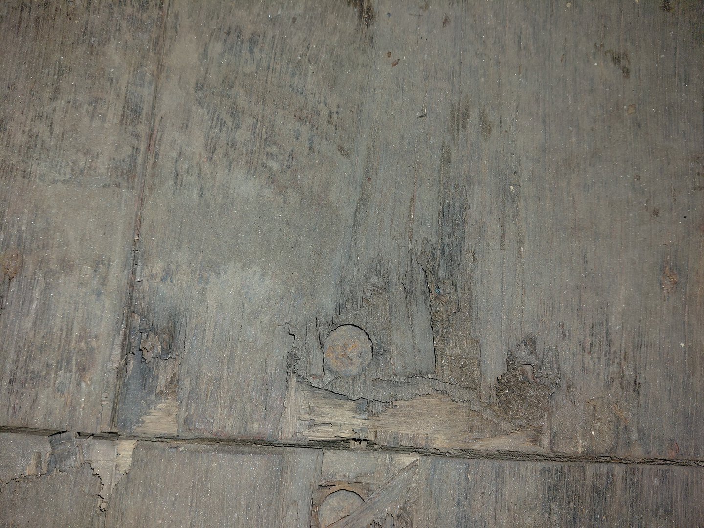 Морской контейнер MEDU2237904