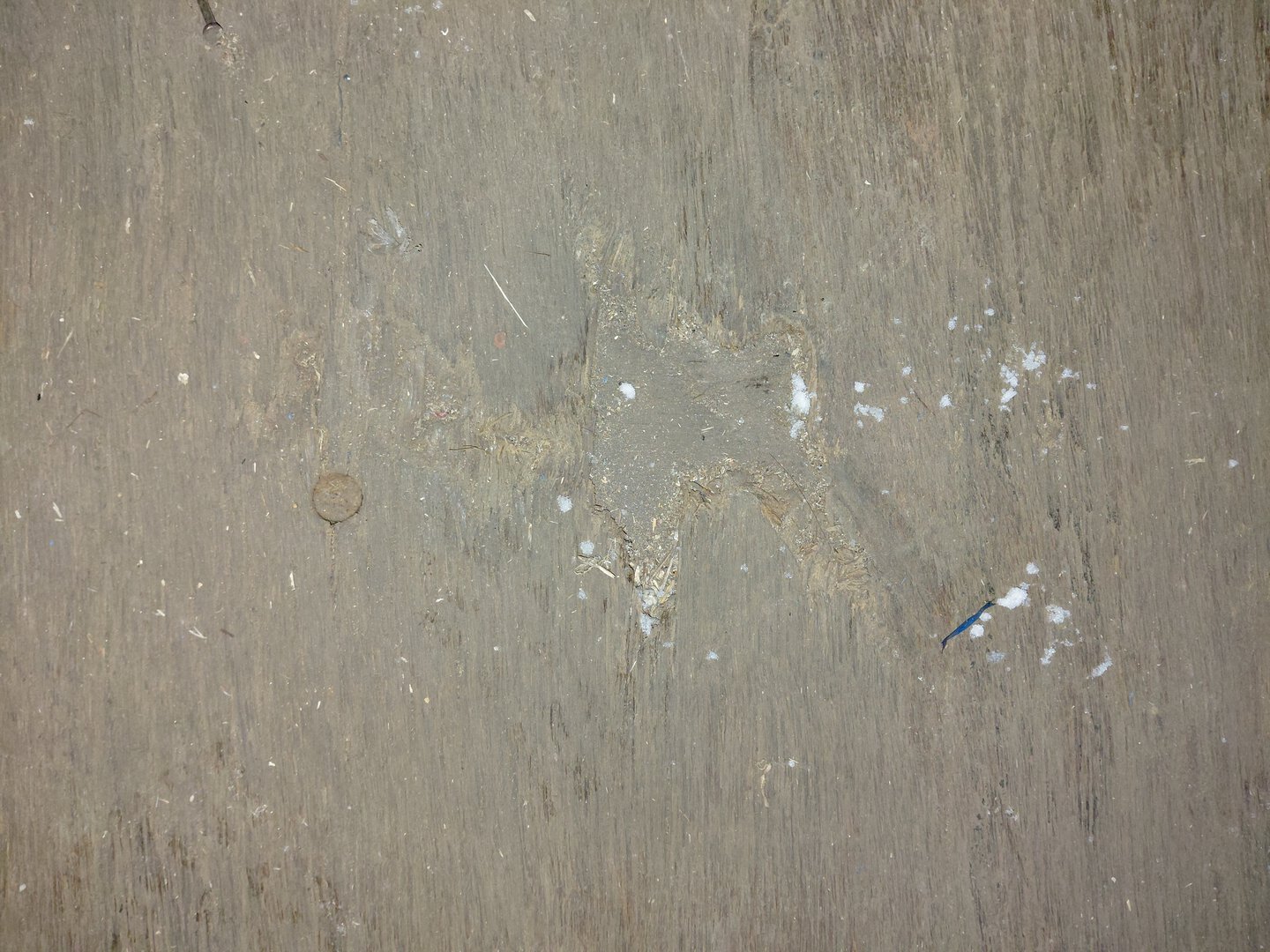 Морской контейнер MEDU2301053