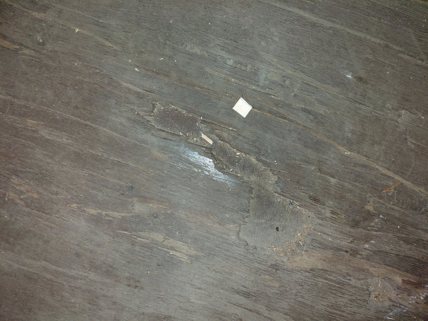 Морской контейнер MEDU2331628