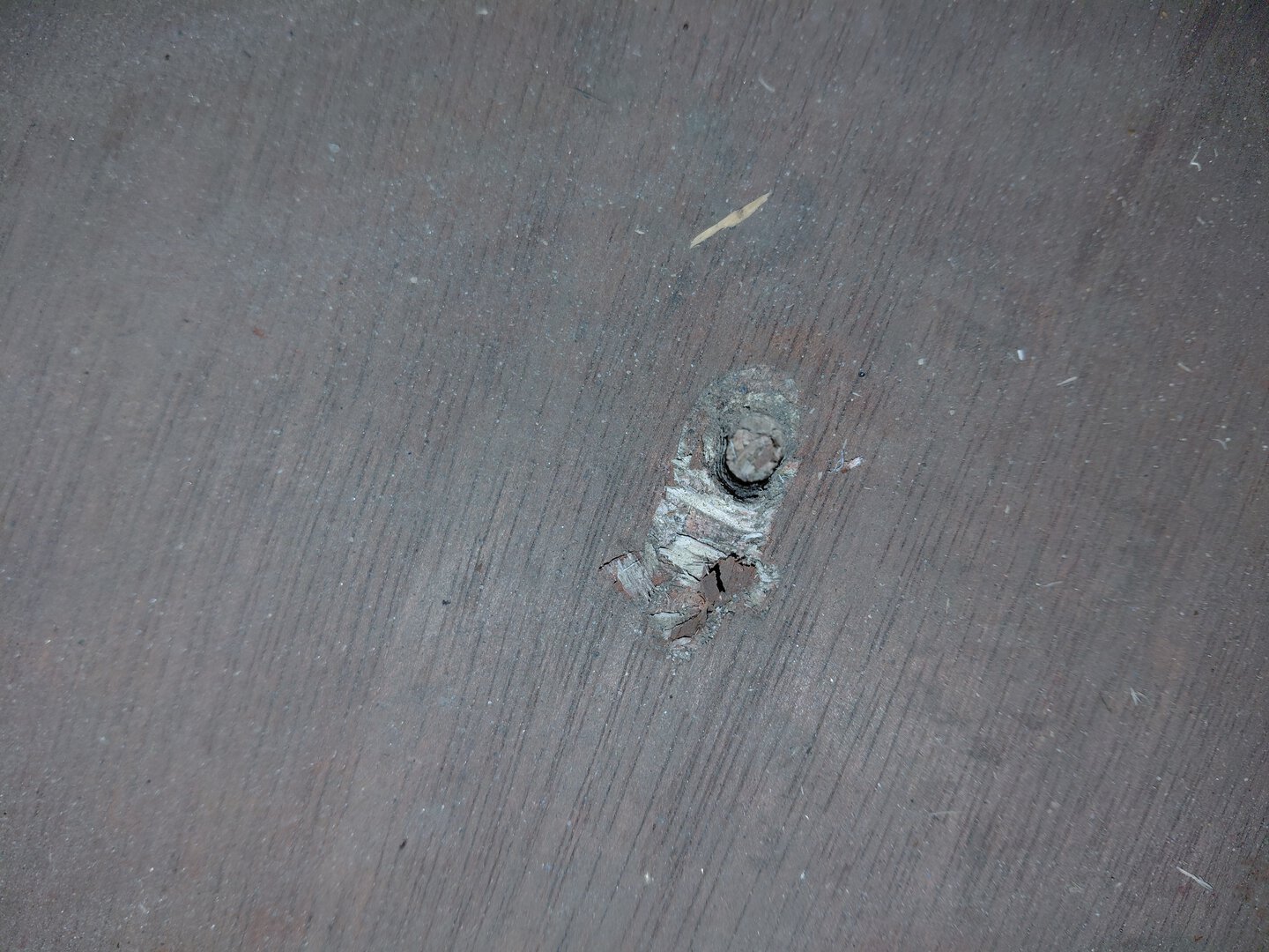 Морской контейнер MEDU2331628