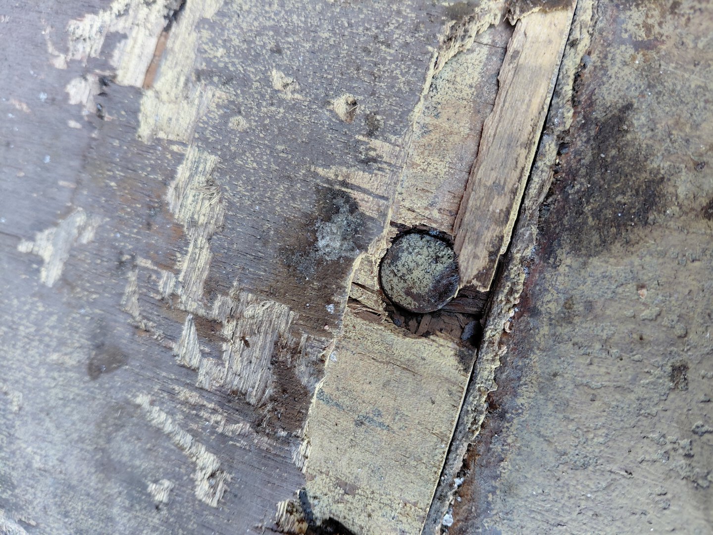 Морской контейнер MEDU3249854