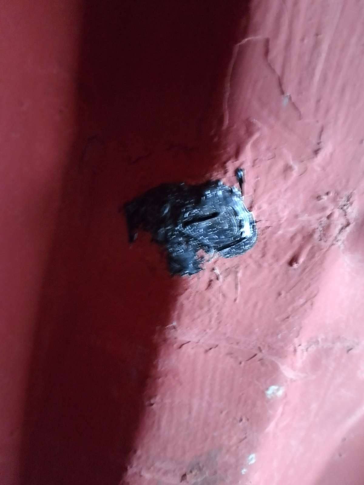 Морской контейнер MEDU3523477