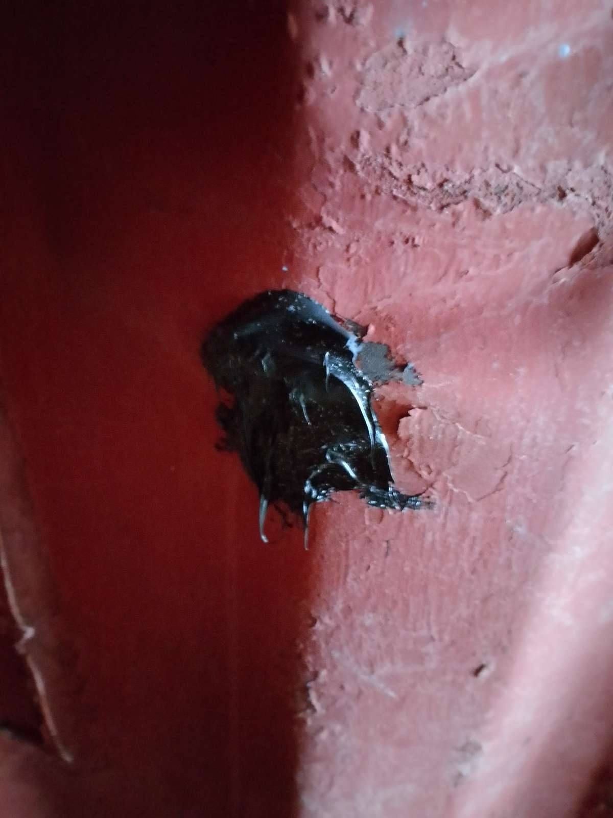 Морской контейнер MEDU3523477