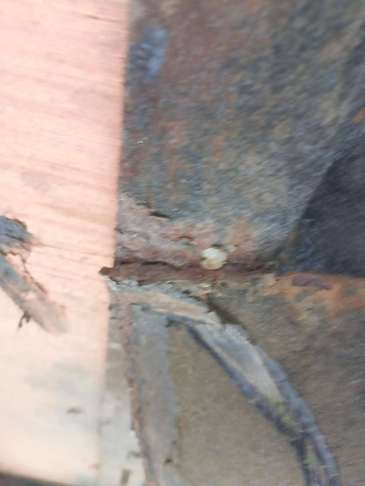 Морской контейнер MEDU3523477