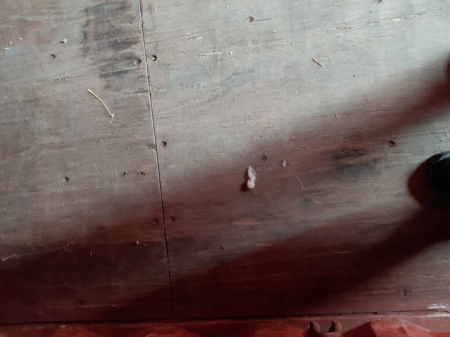 Морской контейнер MEDU3778837