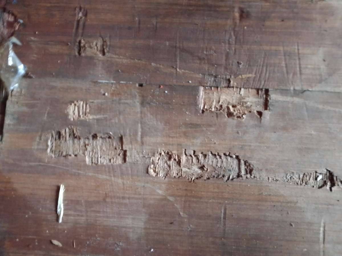 Морской контейнер MEDU3831926