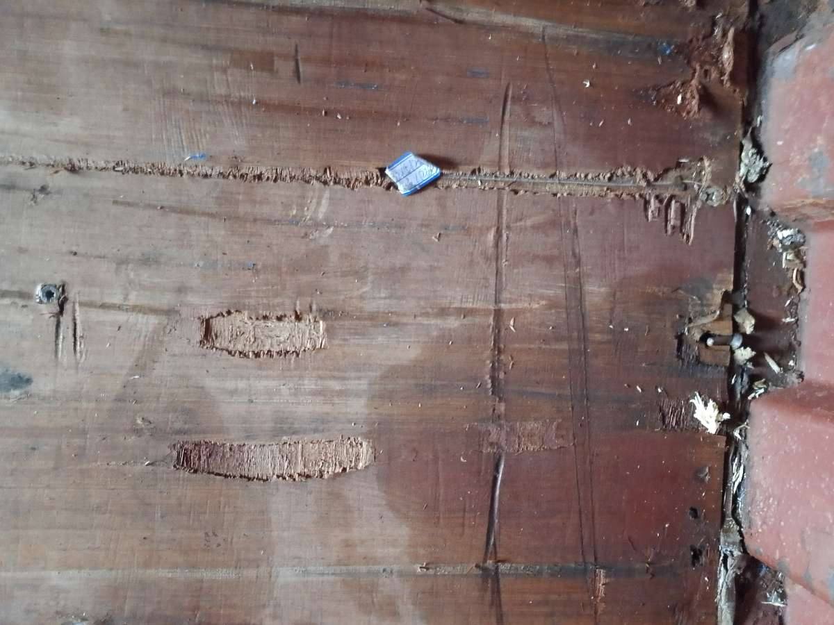 Морской контейнер MEDU3831926