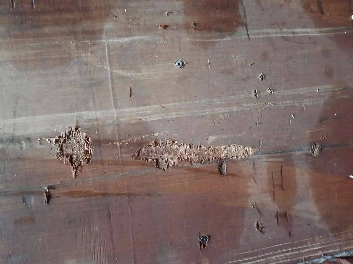 Морской контейнер MEDU3831926